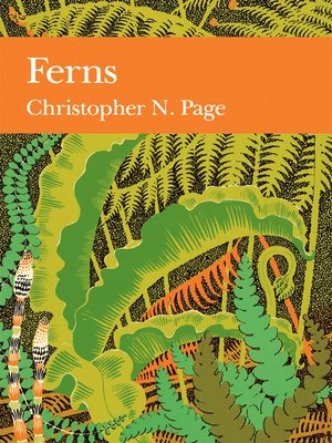 Ferns - ebook
